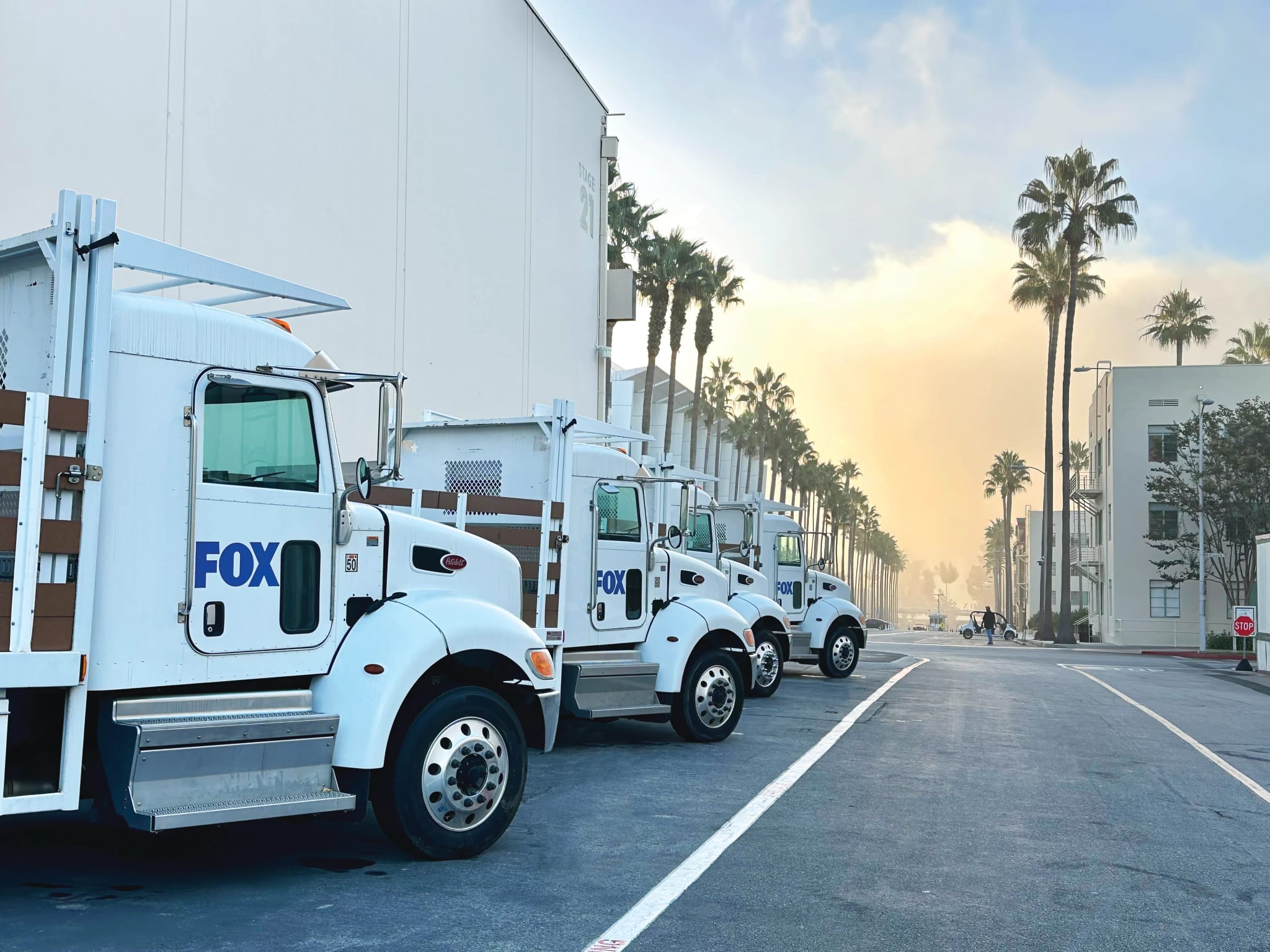 White FOX trucks parked in a row on a palm-lined street under a hazy, warm sky.