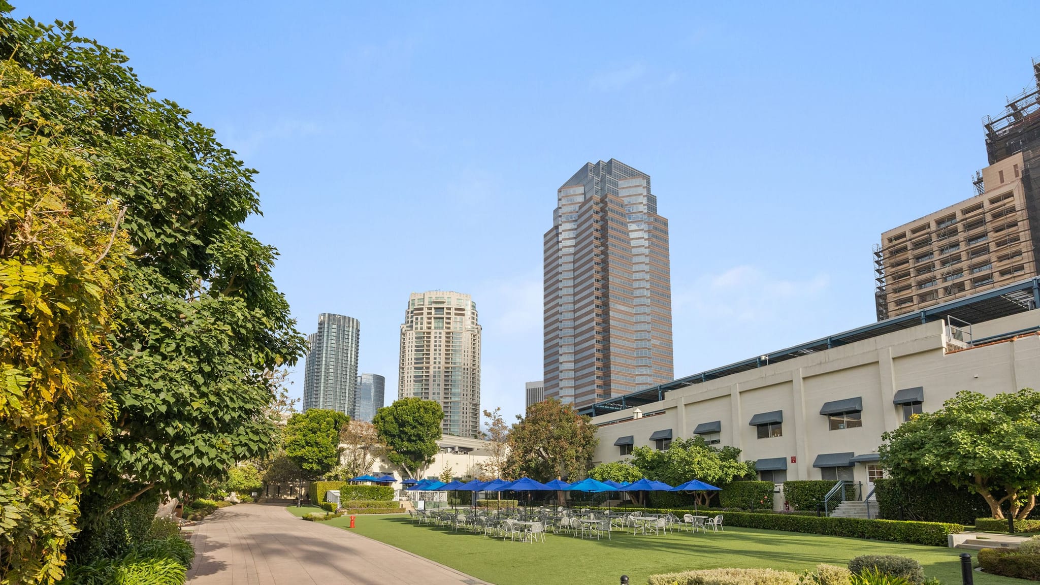 A large green lawn with outdoor seating and blue umbrellas, flanked by trees and buildings, with skyscrapers in the background.