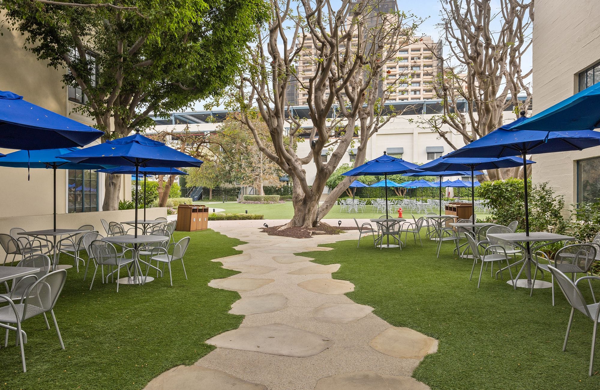 An outdoor courtyard with tables, chairs, and blue umbrellas on green grass, a winding stone path, and trees against a backdrop of buildings.