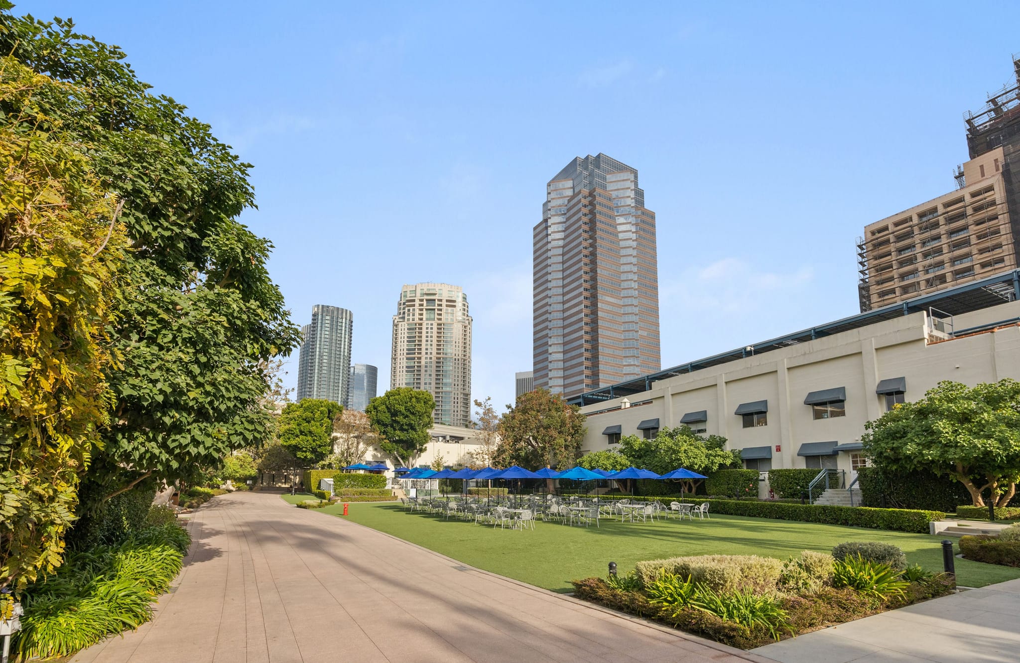 A paved path alongside a green lawn with outdoor tables, blue umbrellas, and city skyscrapers in the background.