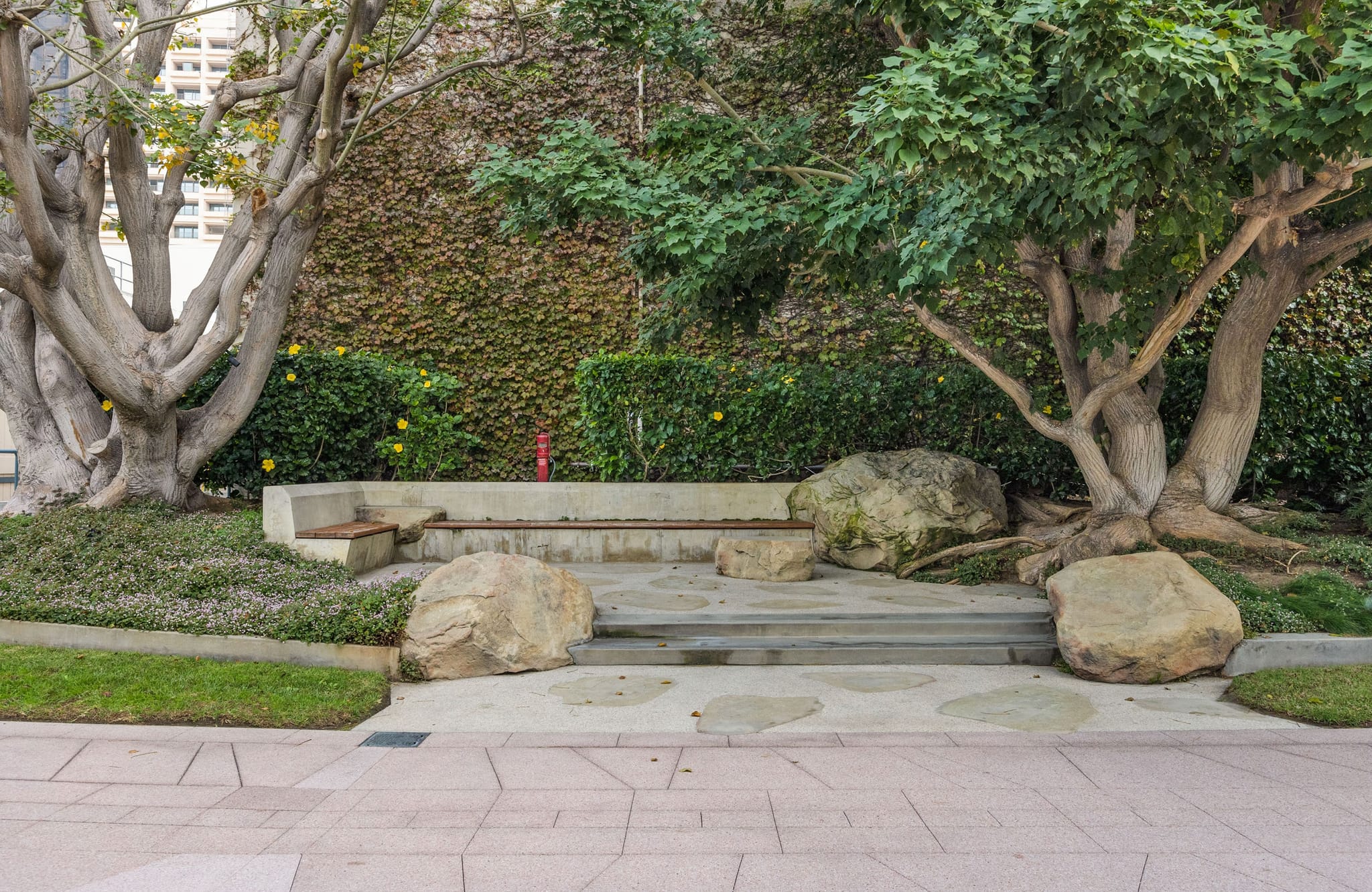 A park seating area with a concrete bench, large rocks, and stepping stone path, framed by two large trees against a vine-covered wall.